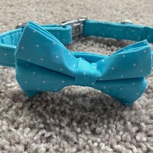 Fashion dog collar